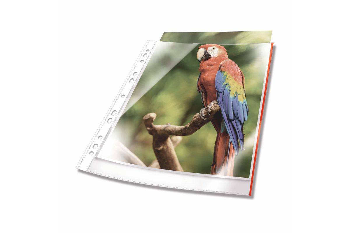 Duurzame A4-documentmappen, bovenaan open, 10 stuks, kristalhelder, rood-0