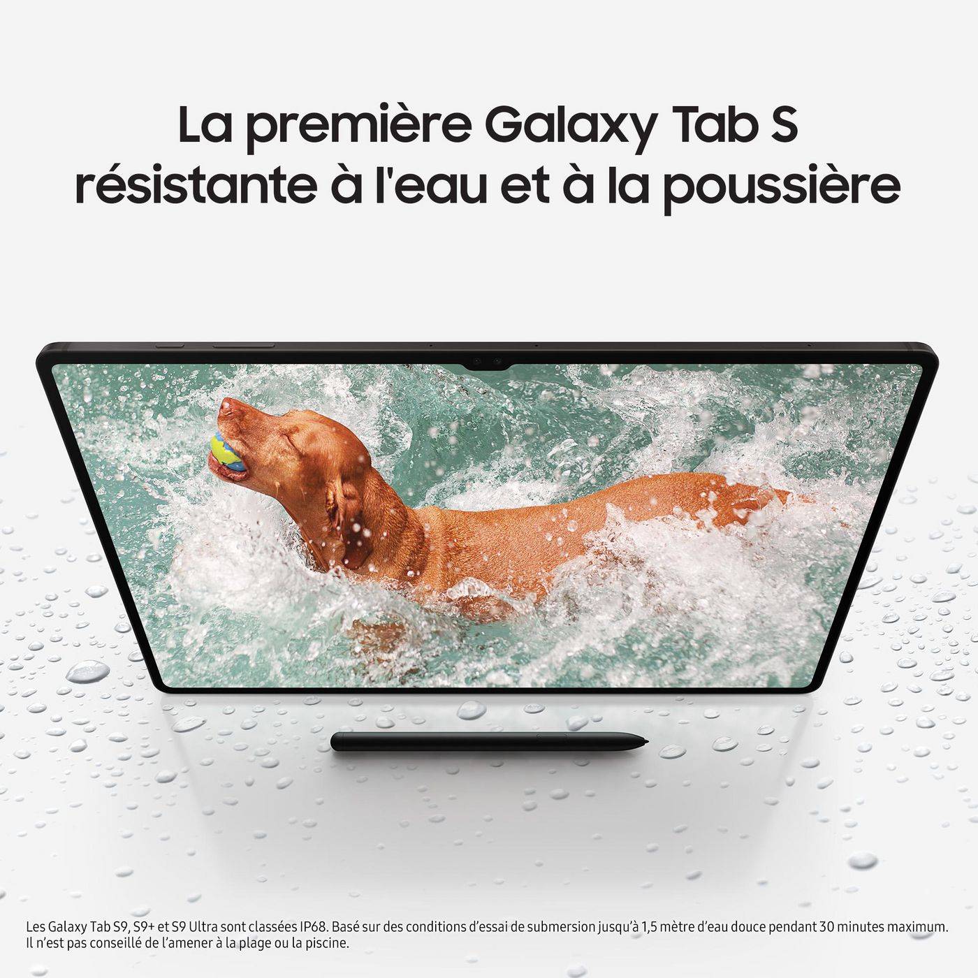 Symboolafbeelding voor Galaxy Tab S9 SM-X710N 128 GB