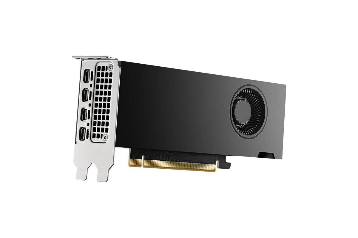 PNY VCNRTX2000ADA-PL videokaart NVIDIA RTX 2000 Ada 16GB GDDR6-0