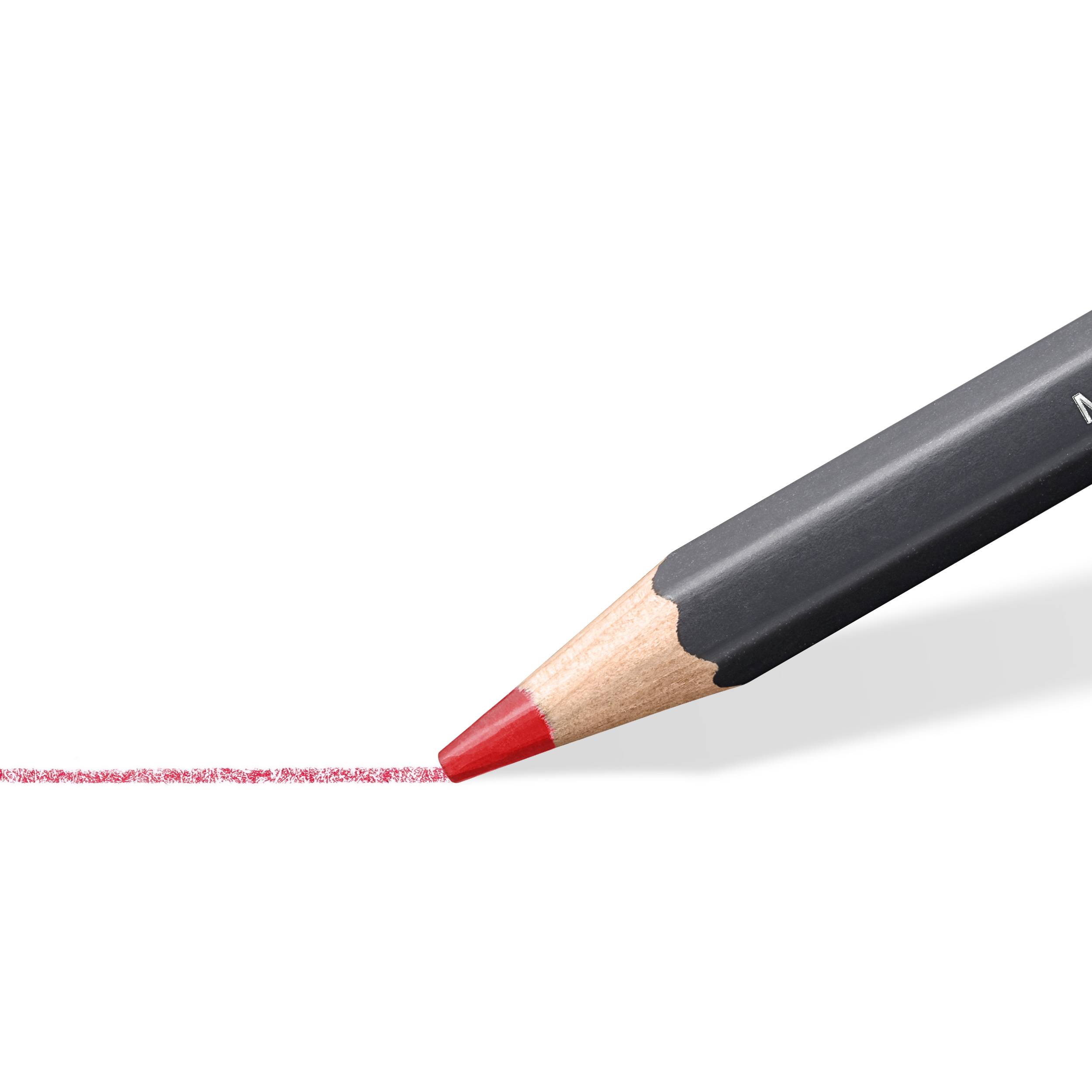 STAEDTLER kleurpotloden Aqua Mars 12 stuks 100% PEFC-2