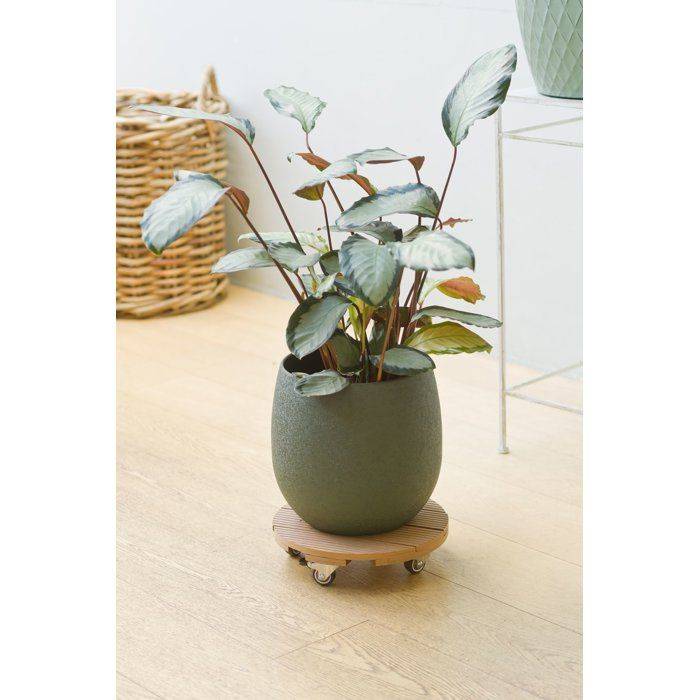 NATURE Standaard voor Plantenpot met Wielen - WPC - H7,5 x Ø30 cm - Hout H7.5-3