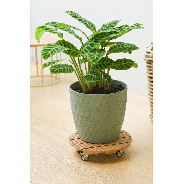 NATURE Standaard voor Plantenpot met Wielen - WPC - H8,6 x Ø38 cm - Hout H8.6-3