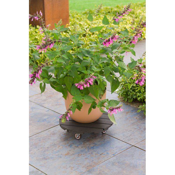 NATURE Standaard voor Plantenpot met Wielen - WPC - H8,6 x Ø38 cm - Antraciet H8.6-1