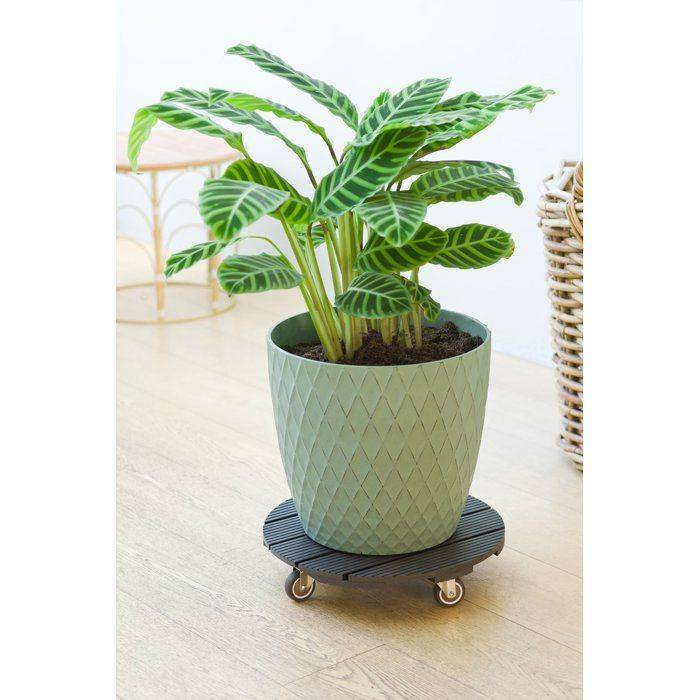 NATURE Standaard voor Plantenpot met Wielen - WPC - H8,6 x Ø38 cm - Antraciet H8.6-3