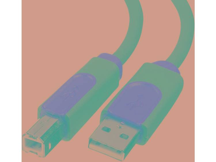 Belkin USB A-B Device Cable A-B DSTP 4.8M (CU1000CP4.8M)