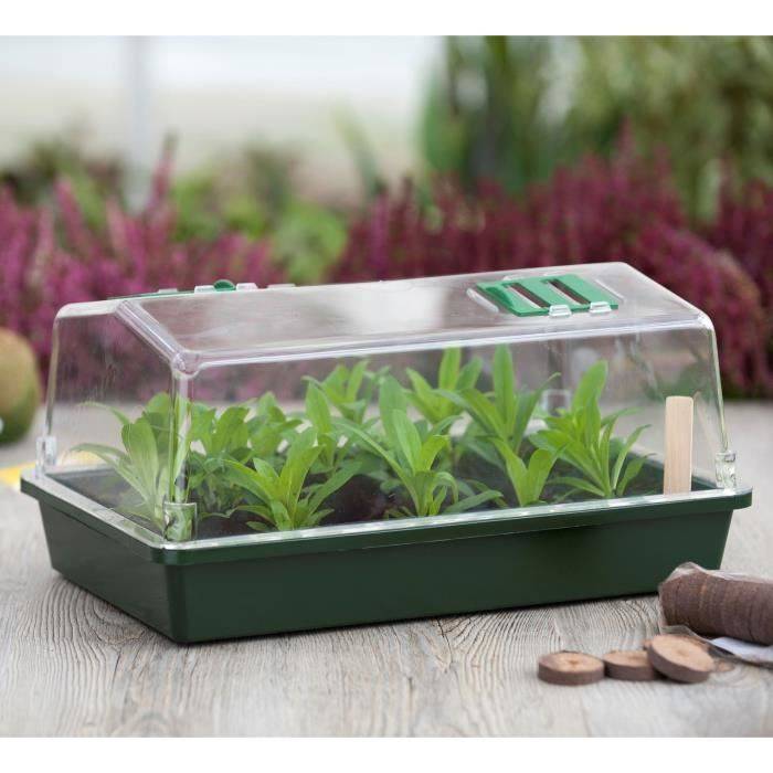 NATURE Rigid Mini Serre - Geventileerd Deksel - H18x37x24 cm - Groen-1