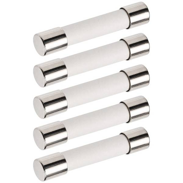 VLTG Keramische Zekering 8A/250V - 6.3x32mm - F (Snel) - 5 stuks