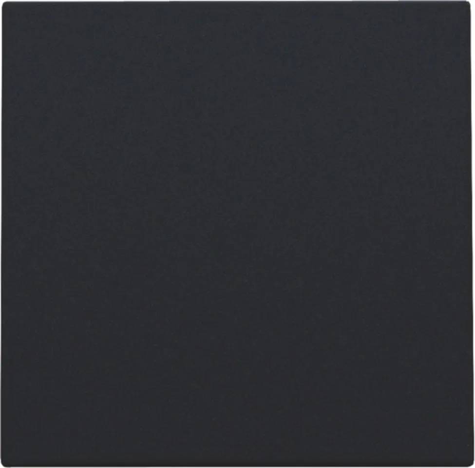 Blindplaat mat zwart 161-0