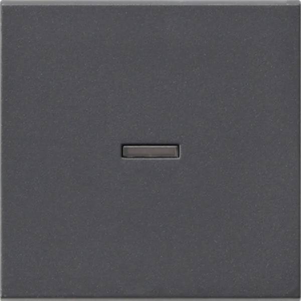 Alt. 52852 - Schakelwip + controlevenster mat antraciet - oud model - 1 - stuk - mat/antraciet