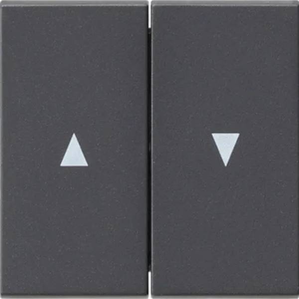Alt. 52853 - Schakelwip 2V + pijlsymbool mat antraciet - oud model - 1 - stuk - mat/antraciet