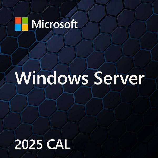 MIC MS Windows Svr CAL 2025 PL 5Clt Device CAL OEM
