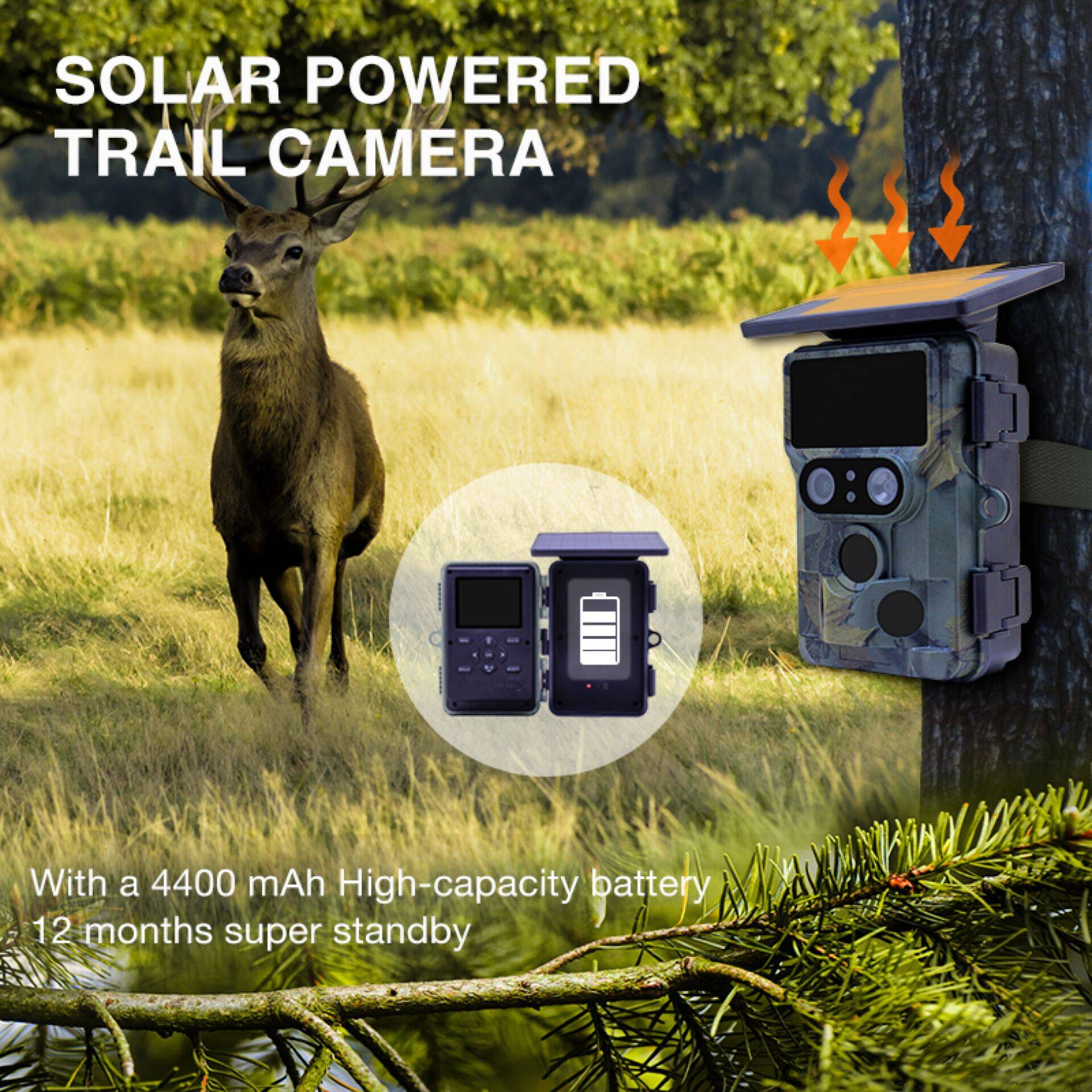Stealth Gear Nightjar Dual Solar Wildlife Camera-2
