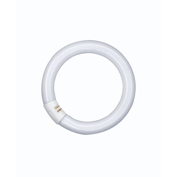 Osram ringvormig L 40W/840 C G10Q neutraal wit T9