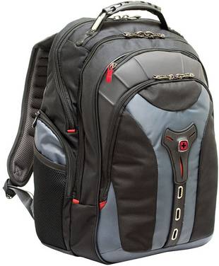 Wenger Pegasus Laptoprugzak Geschikt voor max. (laptop): 43,9 cm (17,3")  Grijs