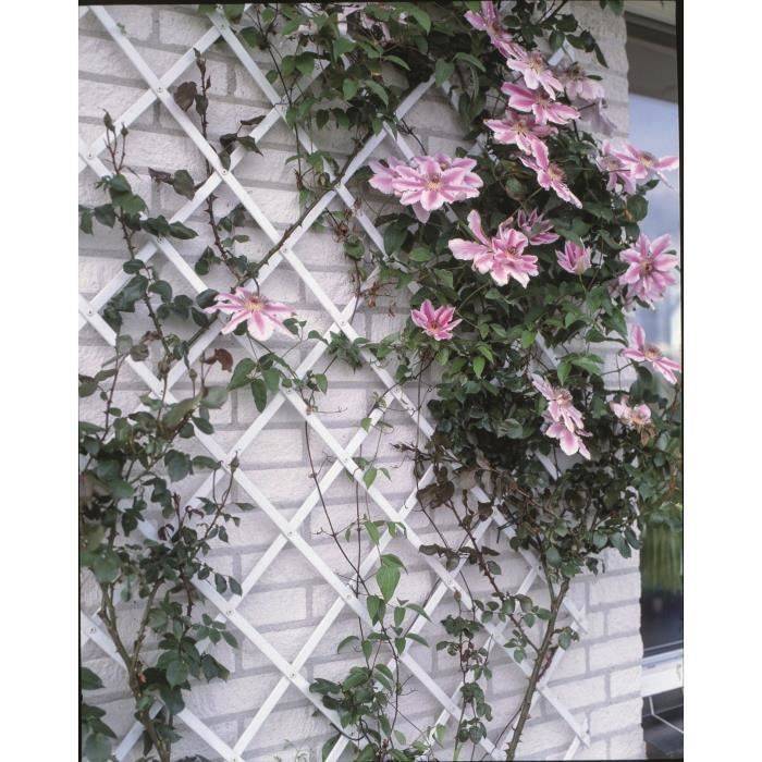 Witte Plastic Uitschuifbare Trellis 50 x 150 cm 50x150cm-0