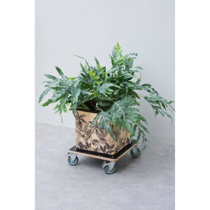 NATURE Plantstand op Wielen - Vierkante Plantentrolley - Zwart Hout - 38 x 38 cm - Laadvermogen 250 kg-2