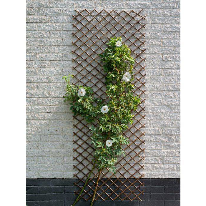 Nature Tuinlat 30 x 180 cm Natuurlijk Bruin Wilg 446397-1