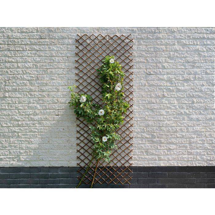 Nature Tuinlat 30 x 180 cm Natuurlijk Bruin Wilg 446397-2
