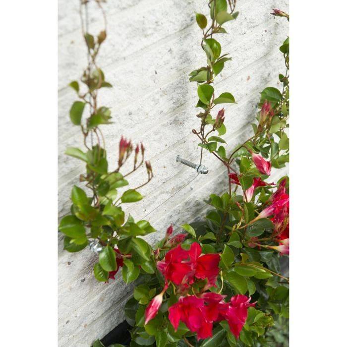 NATURE Metalen Trellis - Trainingskit voor Klimplanten - Gegalvaniseerd Draad Ø1,8 mm x 10 m-0