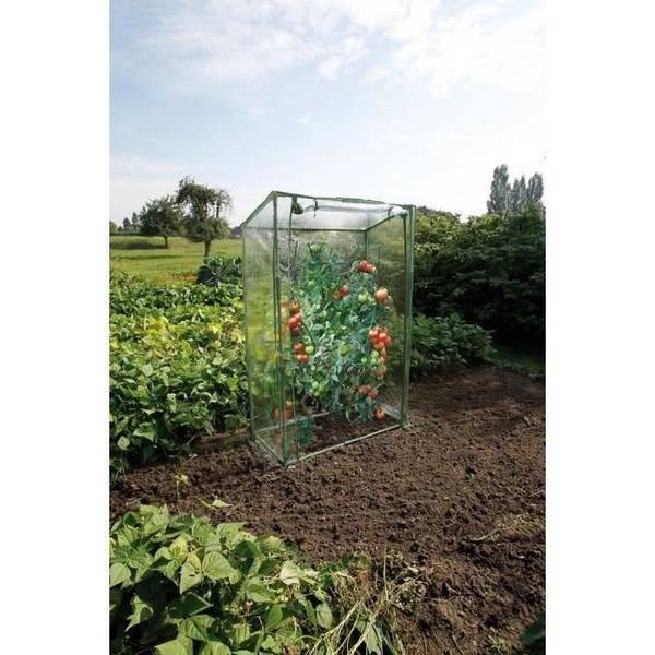 NATURE Tomatenkas 100x50x150 cm - UV-behandeld Polyethyleen