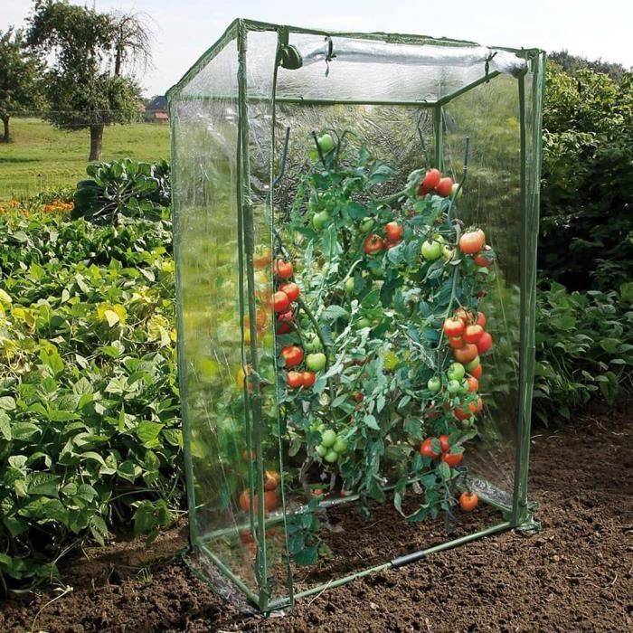 NATURE Tomatenkas 100x50x150 cm - UV-behandeld Polyethyleen-1