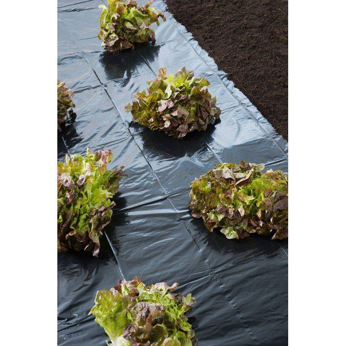 NATURE Afdekfolie - 4 x 6 m - 100 µm - Zwart-2