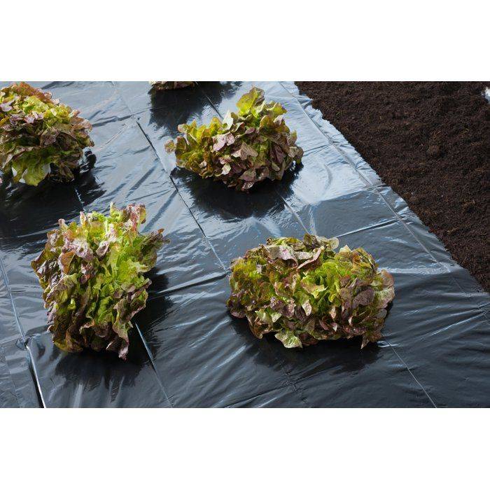 NATURE Afdekfolie - 4 x 6 m - 100 µm - Zwart-3
