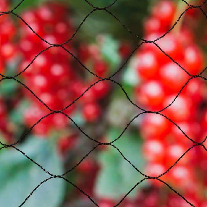 NATURE Primo Vogelnet 10 x 10 m Zwart - 28 mm Gaas - 12 gr/m² Polyethyleen 12gr-2