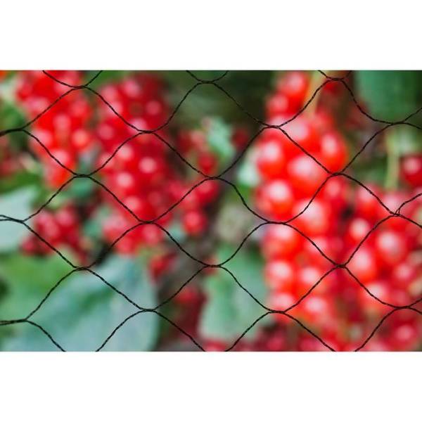 Primo 5x2m Vogelnet in 12 g/m² Zwart Polyethyleen Gebreid Gaas 12gr