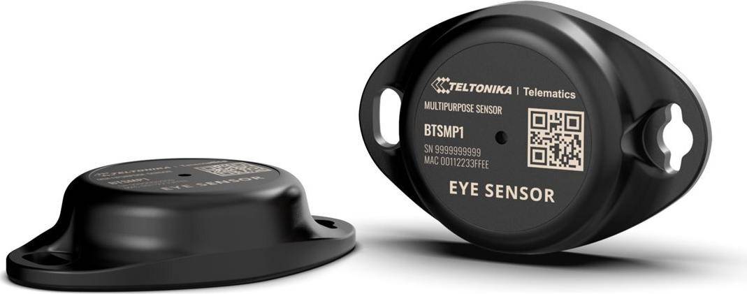 Teltonika EYE Sensor (BTSMP14NB801)-0