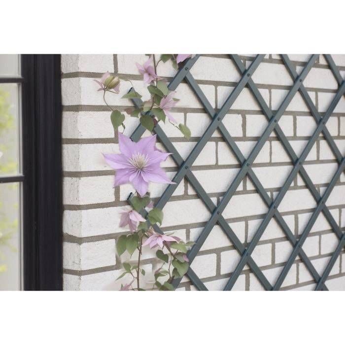 NATURE Uitschuifbare Trellis - Antraciet Plastic - 50 x 150 cm-0