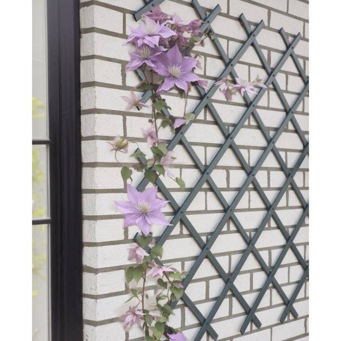 NATURE Uitschuifbare Trellis - Antraciet Plastic - 50 x 150 cm-1
