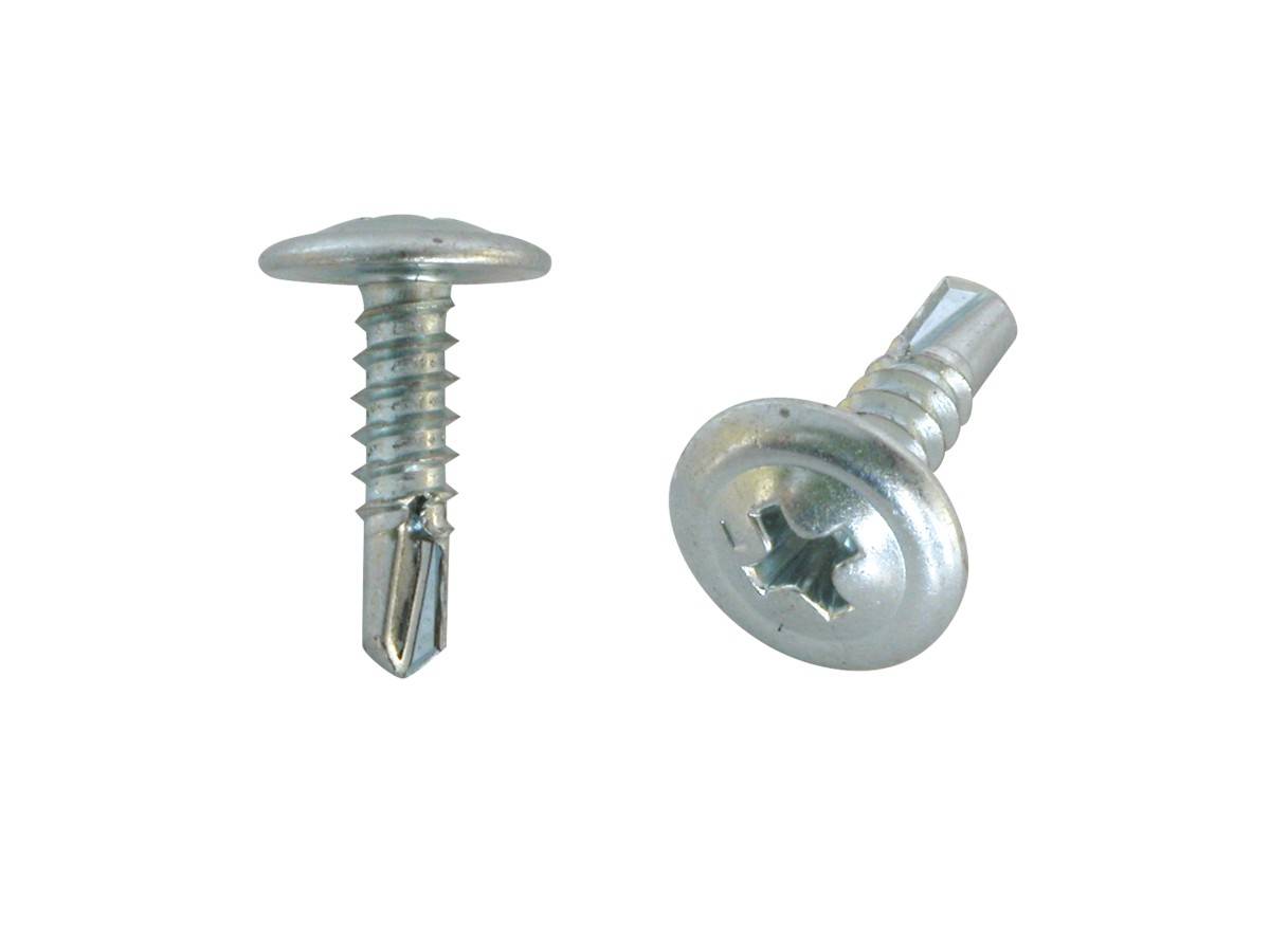 Carpoint Schroef Zelftappend Ø4mm 25mm 100 stuks-0