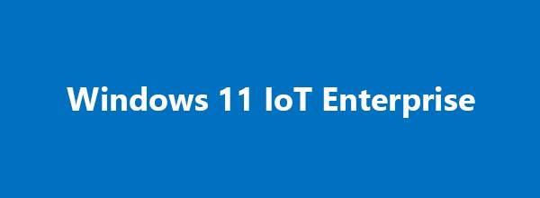 Windows 11 IoT Ent. LTSC 2024, Waarde-0