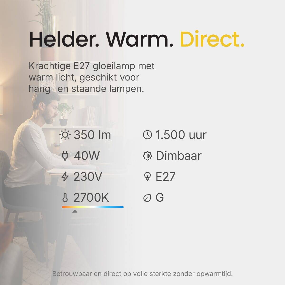 Technik Gloeilamp G80 E27 Helder - 40W 350lm 2700K - Warmwit Dimbaar - 100 stuks-2