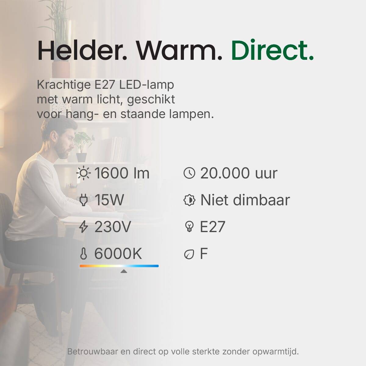 Spectrum LED Peerlamp A60 E27 Mat - 15W 1600lm 6000K - Koudwit - Vervangt 104W - 5 stuks-2