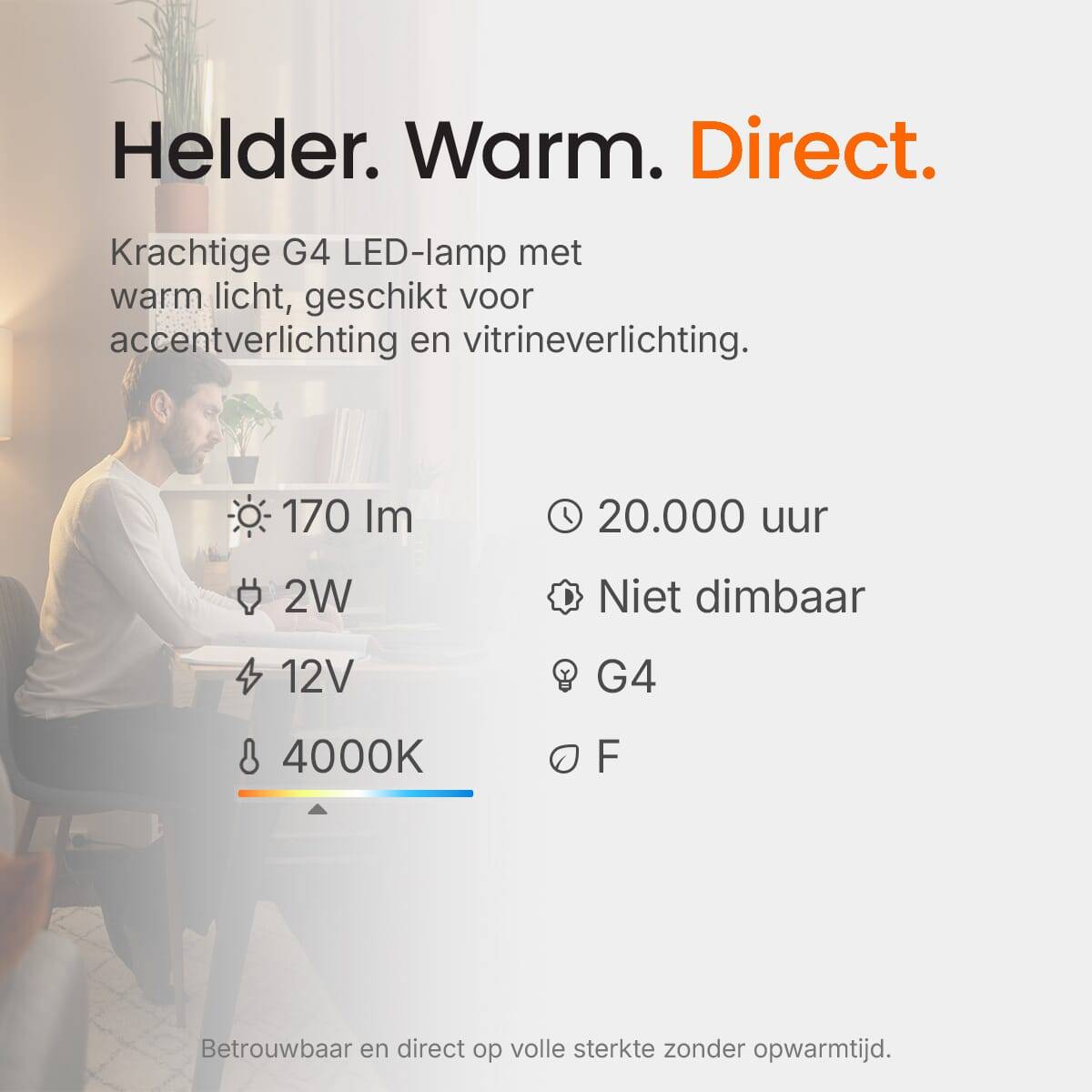 Kobi LED Insteeklamp G4 Helder - 1.5W 170lm 4000K - Neutraalwit - Vervangt 18W - 12V - 3 stuks-4