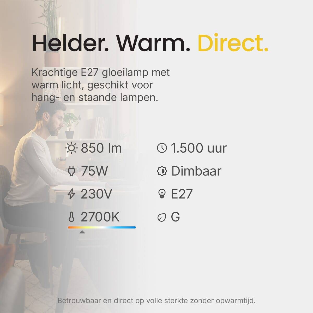 Technik Gloeilamp G80 E27 Helder - 75W 850lm 2700K - Warmwit Dimbaar - 25 stuks-4