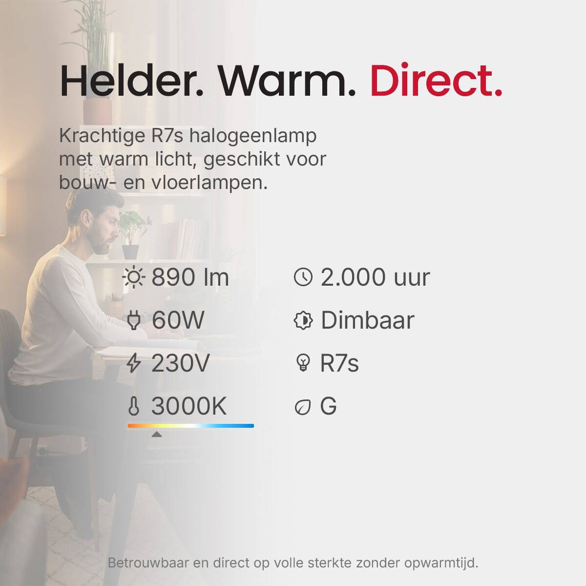 SPL R7s Halogeenlamp 118mm - 60W 2800K 890lm 220-240V - Staaflamp - Warm Wit Licht - Dimbaar - Helder-2