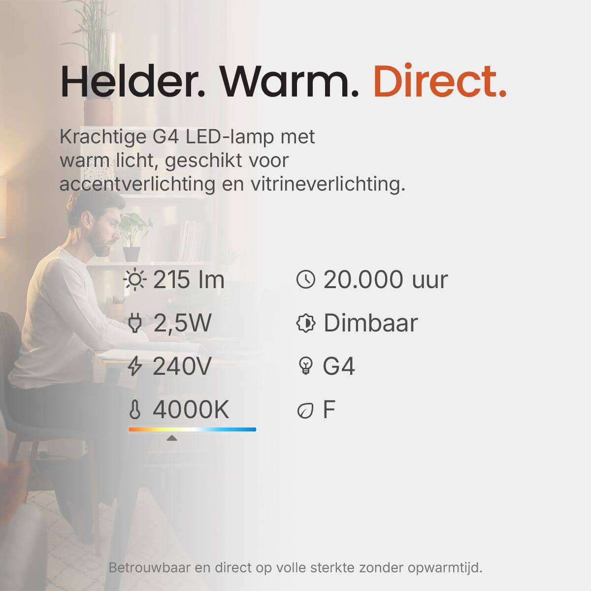 Vito Lighting LED Insteeklamp G4 Mat - 2.5W 215lm 4000K - Neutraalwit Dimbaar - Vervangt 25W - 10 stuks-3