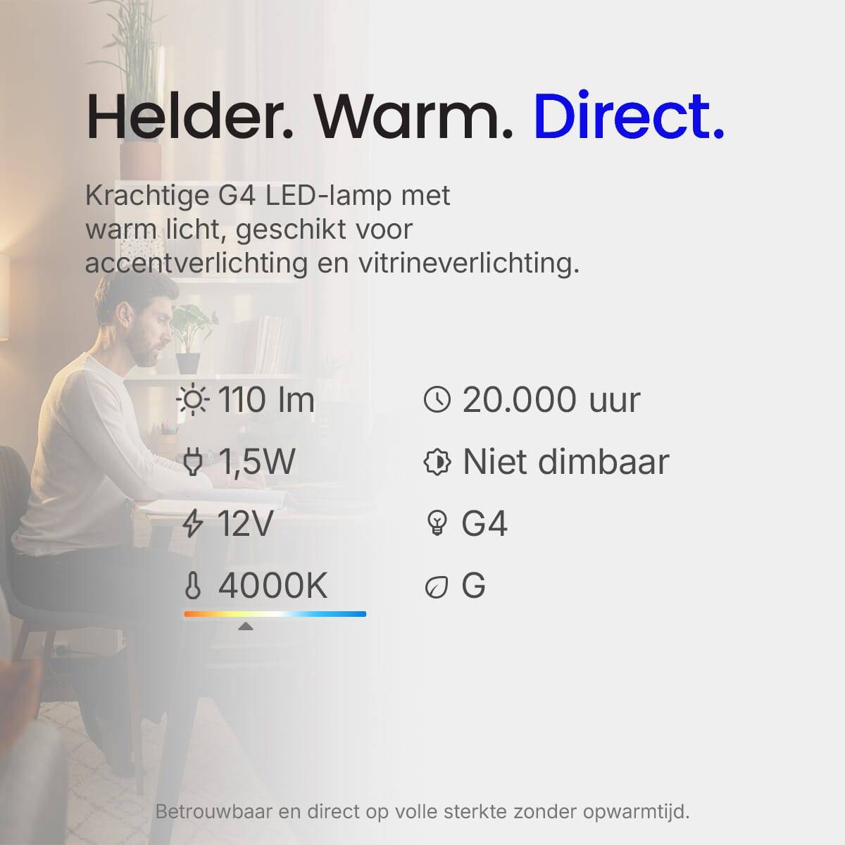 Asalite LED Insteeklamp G4 Mat - 1.5W 110lm 4000K - Neutraalwit - Vervangt 13W - 12V-3