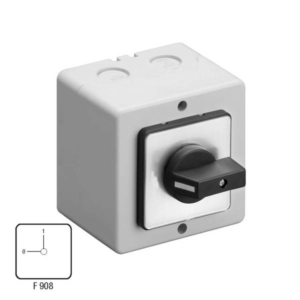 Nokkenschakelaar aan/uit 40A 4P opbouw A4/32PLM+2xM20 1 stuk