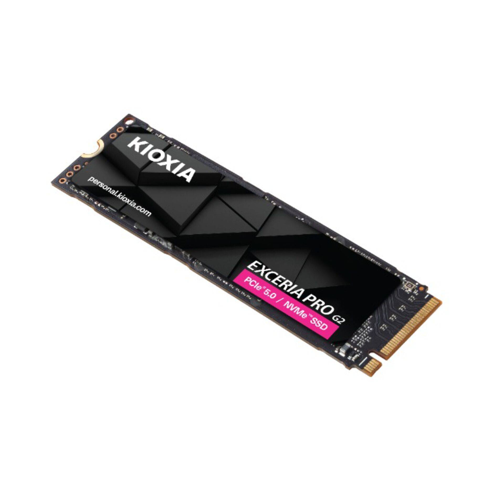 KIOXIA EXCERIA PRO G2 1TB M.2 2280 PCIe 5.0 LVE10Z1T02G8-2