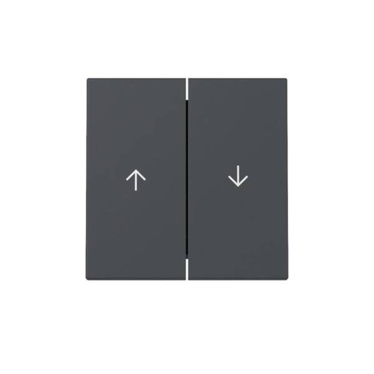 Gira Wippe 2f Pfeil 329428-0