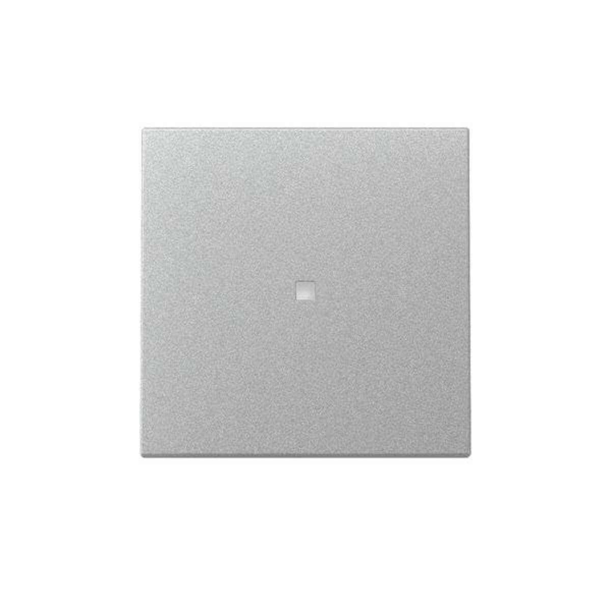 Gira Wippe Kontrollf. 329026-0