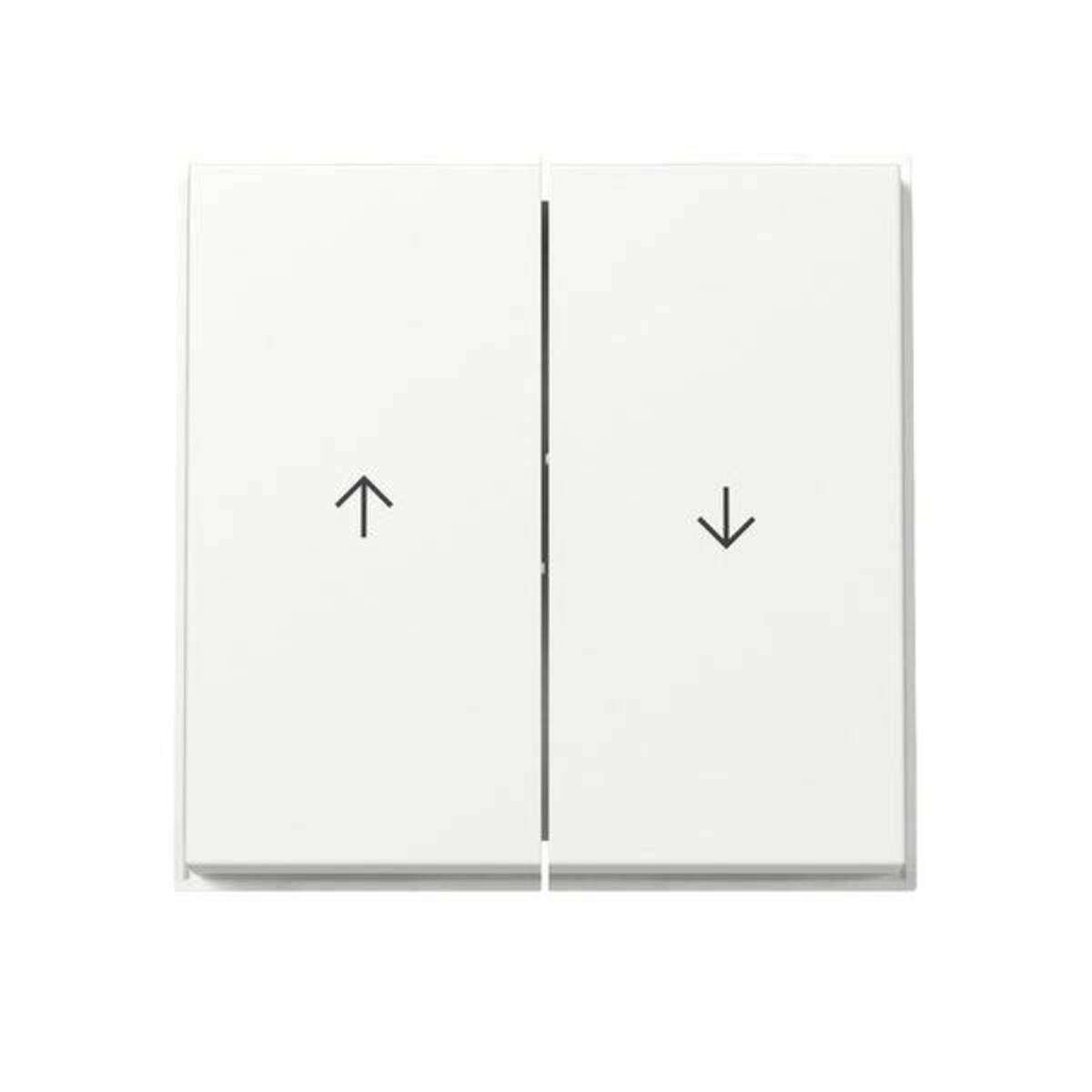 Gira Wippe 2f Pfeil 329466-0