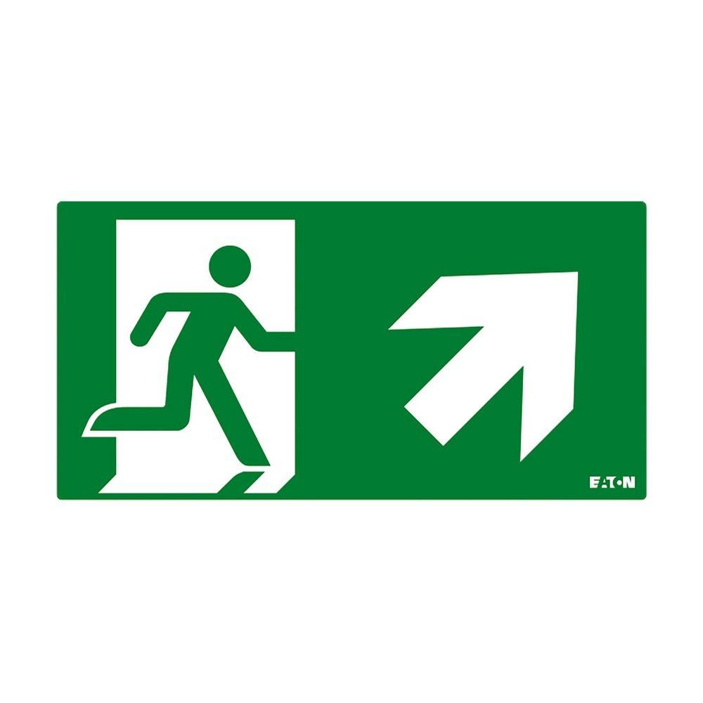 Ceag Notlichtsysteme Piktogramm FT3EWEC-PICTO-UR-0