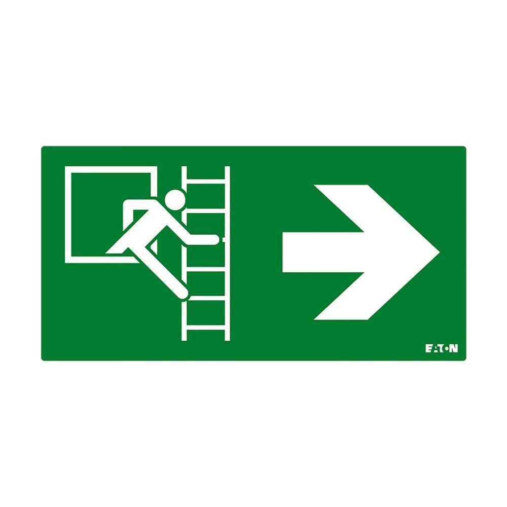 Ceag Notlichtsysteme Piktogramm FT3EWEC-PICTO-EWR-0