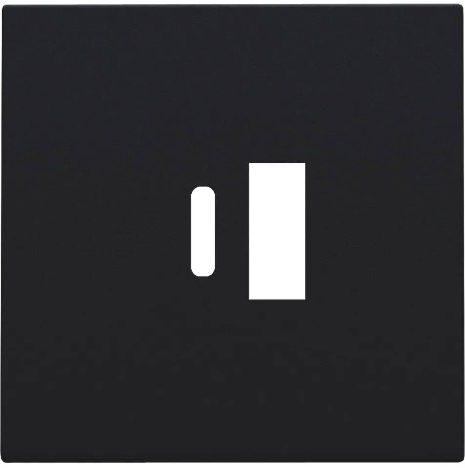 Afwerkingsset USB A&C mat zwart 161 1 stuk-0