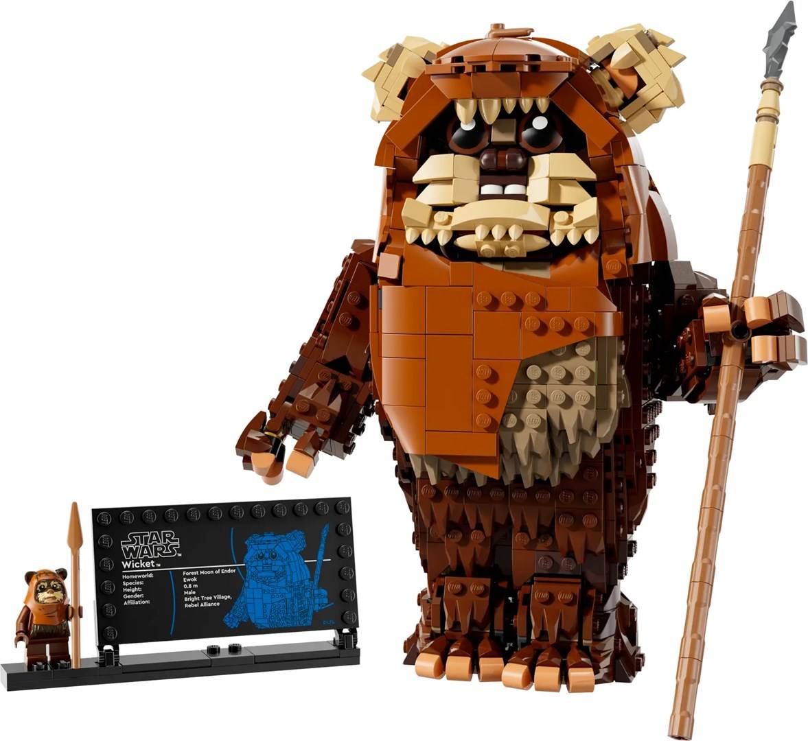 LEGO STAR WARS 75430 Wicket de Ewok-4